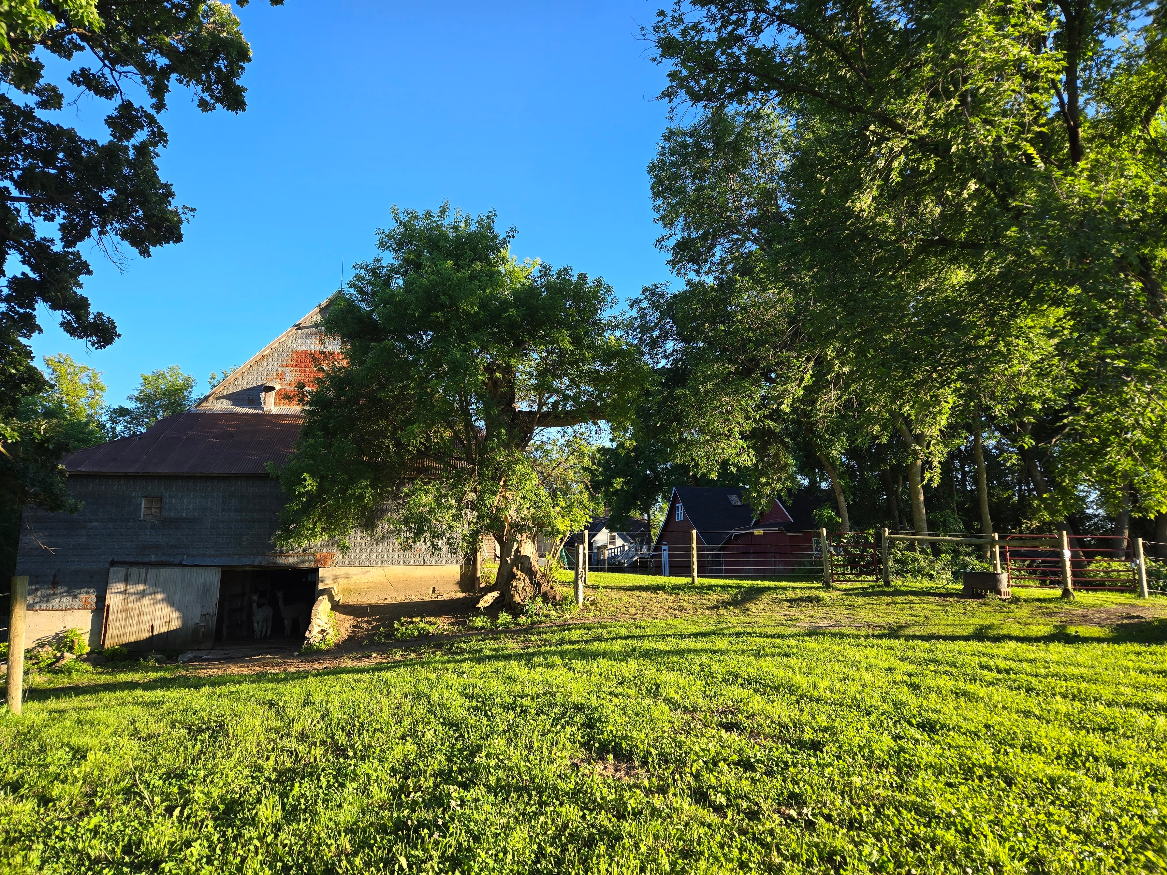 5 Crow Farm countryside